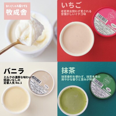 <牧成舎>飛騨の牛乳屋が作る、ミルクの旨味たっぷりアイスクリーム贅沢セット b607
