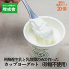 飛騨の牛乳屋・牧成舎の砂糖不使用プレーンカップヨーグルト20個 DF006