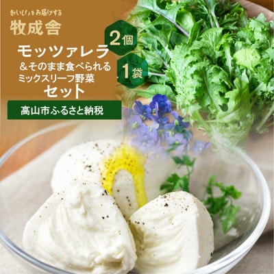 飛騨の新鮮モッツァレラ&フレッシュ野菜 お届けセット DF001