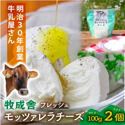 【牧成舎】飛騨の牛乳屋さんのこだわりフレッシュモッツァレラチーズ(100g×2個) DF036