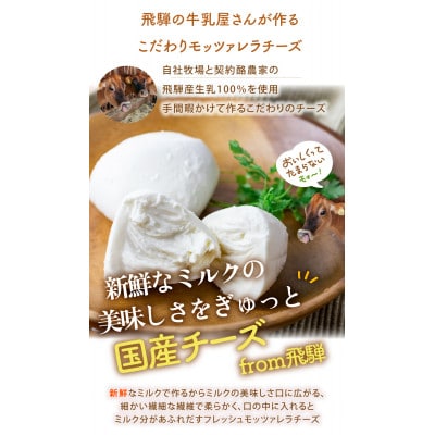 【牧成舎】飛騨の牛乳屋さんのこだわりフレッシュモッツァレラチーズ(100g×2個) DF036