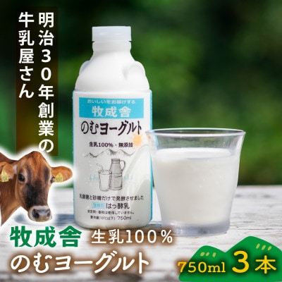 【牧成舎】飛騨の牛乳屋さんが作った こだわりの生乳100%のむヨーグルト750ml×3本 DF040
