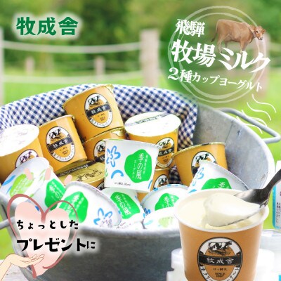 【毎月定期便】牧成舎カップヨーグルト20個 DF110 全12回