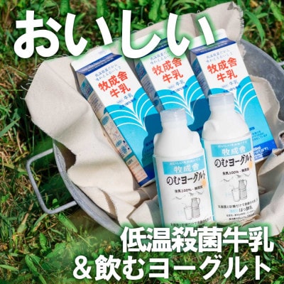 【毎月定期便】牧成舎牛乳&飲むヨーグルト 全12回