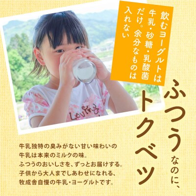 【毎月定期便】牧成舎牛乳&飲むヨーグルト 全12回