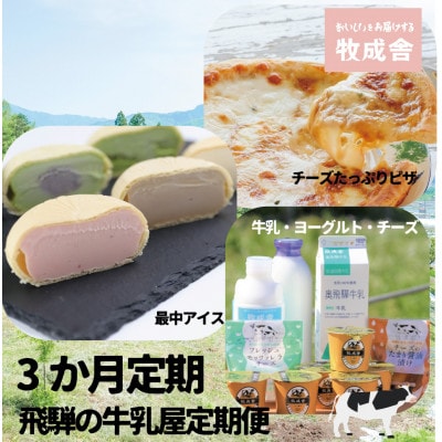 【毎月定期便】飛騨の牛乳屋定期3か月便　乳製品・アイス・ピザ　牧成舎DF117全3回