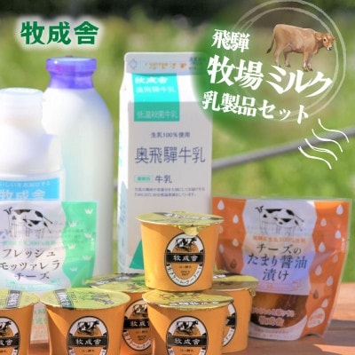 【毎月定期便】飛騨の牛乳屋定期3か月便　乳製品・アイス・ピザ　牧成舎DF117全3回