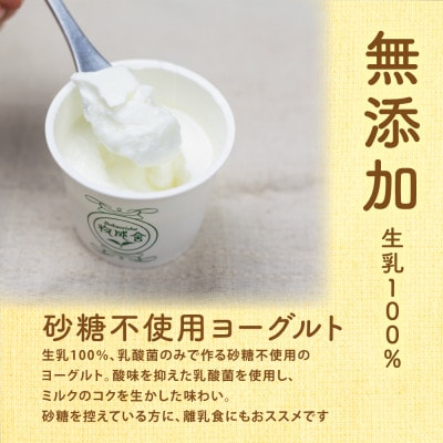 【毎月定期便】牧成舎・砂糖不使用ヨーグルト20個 DF111 全6回