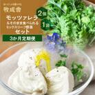 【毎月定期便】飛騨のモッツァレラ&新鮮野菜 DF100全3回