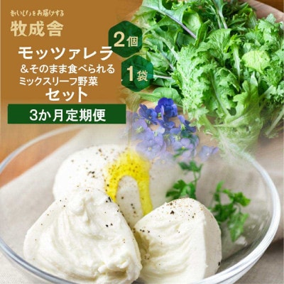 【毎月定期便】飛騨のモッツァレラ&新鮮野菜 DF100全3回