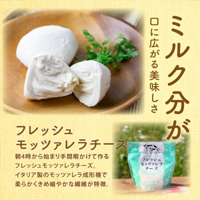 【毎月定期便】飛騨のモッツァレラ&新鮮野菜 DF100全3回