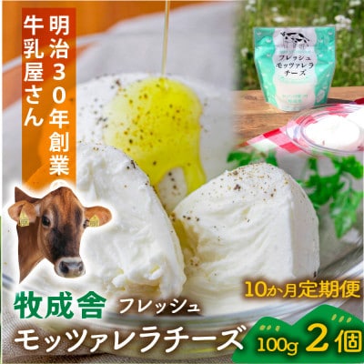 【毎月定期便】【牧成舎】飛騨のフレッシュモッツァレラチーズ(100g×2個) DF222 全10回