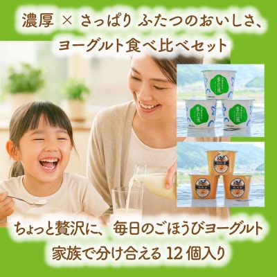【毎月定期便】【牧成舎】こだわりカップヨーグルト 12個(加糖タイプ) DF217 全6回