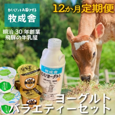 【毎月定期便】【牧成舎】飛騨の牛乳屋・こだわりヨーグルト7点 DF215 全12回