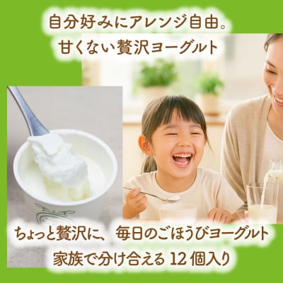 【毎月定期便】牧成舎・砂糖不使用ヨーグルト12個 DF225 全6回