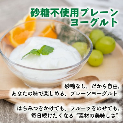 【毎月定期便】牧成舎砂糖不使用ヨーグルト12個 DF226 全10回