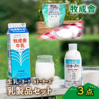 【2週間毎定期便】牧成舎 乳製品(牛乳/のむヨーグルト/チーズ)全6回