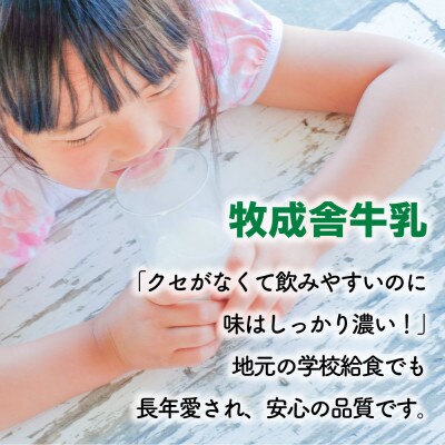 【毎月定期便】牧成舎牛乳2本&のむヨーグルト1本 DF238全10回