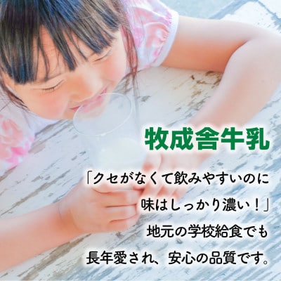 【2ヵ月毎定期便】牧成舎牛乳2本&のむヨーグルト1本全6回