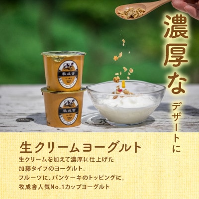 【2週間毎定期便】【牧成舎】カップヨーグルト12個(加糖タイプ)全24回