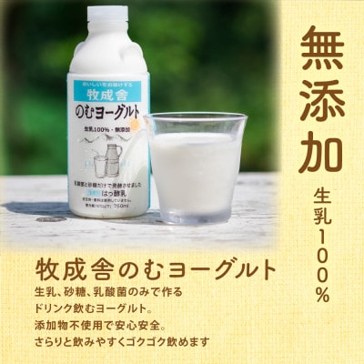 【2週間毎定期便】【牧成舎】生乳100%のむヨーグルト3本全3回