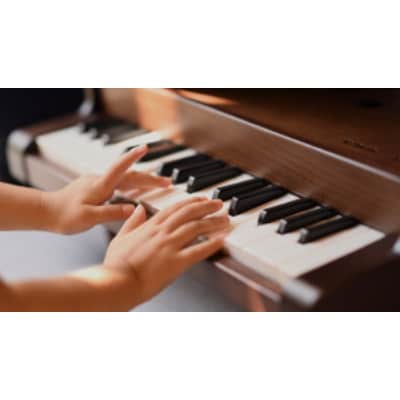 飛騨産業　KAWAI meets HIDA ミニグランドピアノ  TR3173