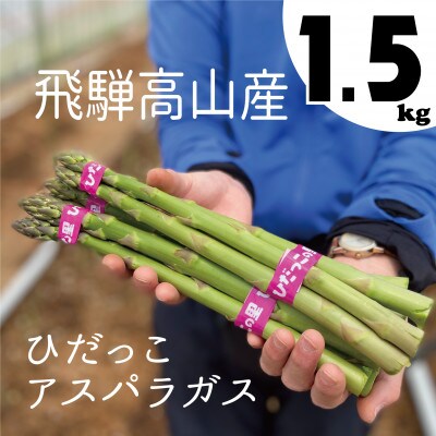 ひだっこアスパラガス1.5kg a525
