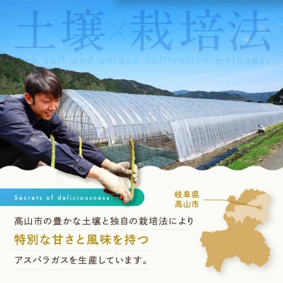【2025年度先行受付】ひだっこアスパラガス1.5kg a525