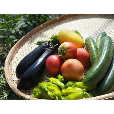 飛騨高山よしま農園の自然のなかで育った野菜セット a523