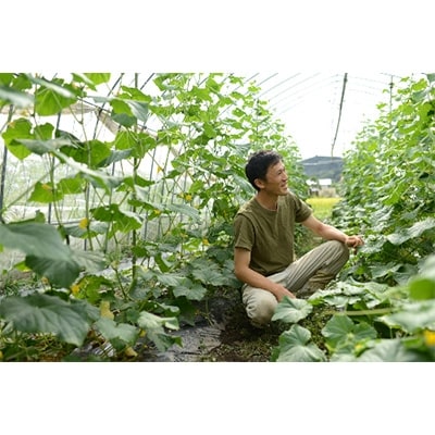 飛騨高山よしま農園の自然のなかで育った野菜セット a523