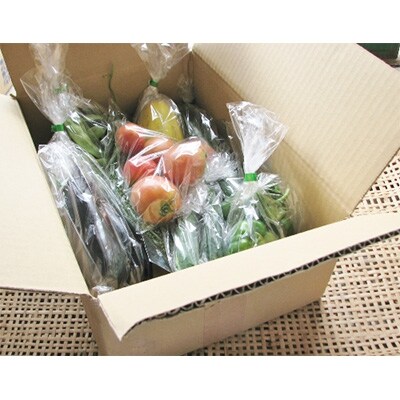 飛騨高山よしま農園の自然のなかで育った野菜セット a523