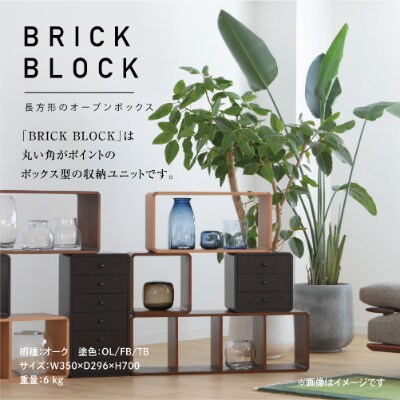 ブリック・ブロック ACK-007 塗色	WNO TR3039