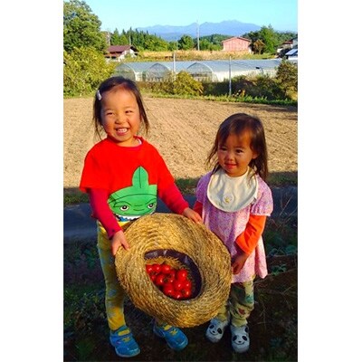 糖度9度以上・濃厚・完熟フルーツトマトジュース500ml×12本セット d503