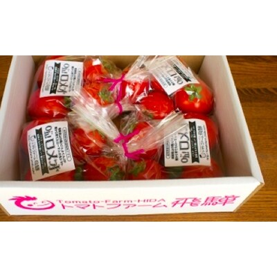 クッキングトマト&ミックスミニトマト合計約1.9kg(8～10月発送)[飛騨高山産] b501