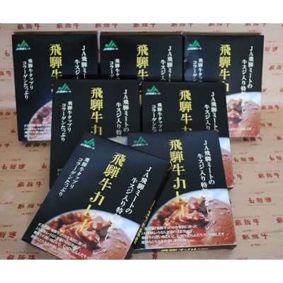 飛騨牛カレー　7食セット b507