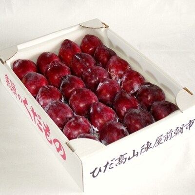 山本果樹園 橋本スモモ2.5kg b563