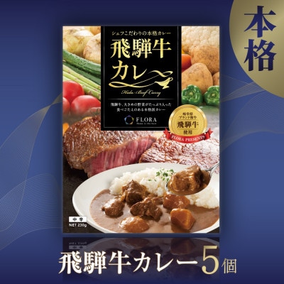 飛騨牛カレー5個b570