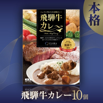 飛騨牛カレー10個 c517