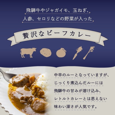 飛騨牛カレー10個 c517