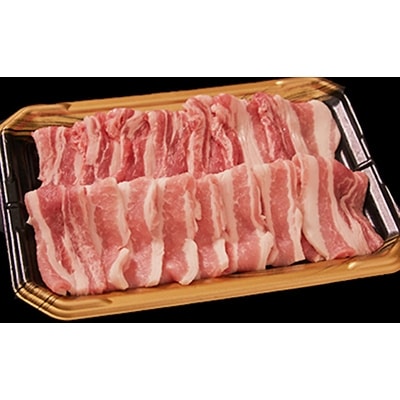 飛騨豚 国産 豚肉 しゃぶしゃぶ セット ロース 300g・バラ400g a554