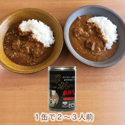 キッチン飛騨監修 さとうオリジナル 飛騨牛カレー缶×5缶セット レトルトカレー CY013