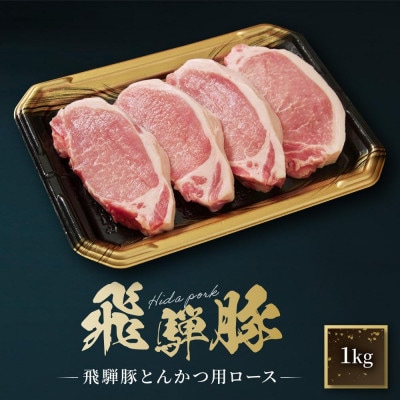 飛騨豚 とんかつ用 ロース 1kg(約10枚入り)CY040