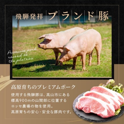 飛騨豚 とんかつ用 ロース 1kg(約10枚入り)CY040