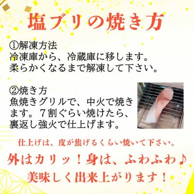 飛騨の汐ぶり 北海道産 3切 37-939 CY020