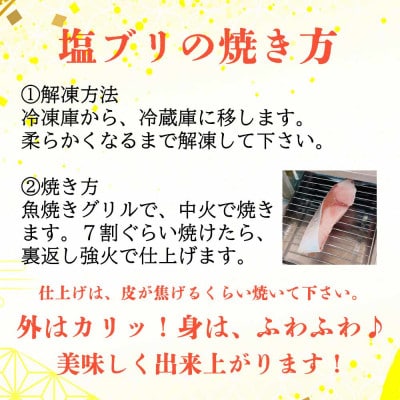 飛騨の塩ブリ 北海道産 5切 37-938 CY021