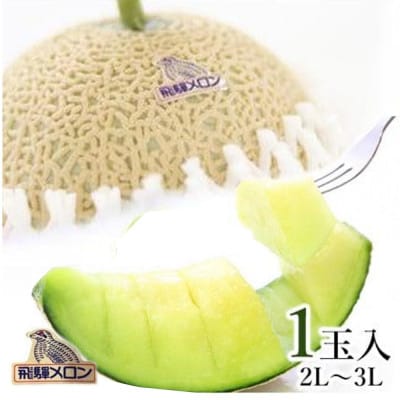 飛騨メロン 1玉 2L～3Lサイズ (約1.5kg) 化粧箱入 21-326 CY032