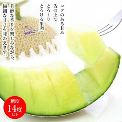 飛騨メロン 1玉 2L～3Lサイズ (約1.5kg) 化粧箱入 21-326 CY032