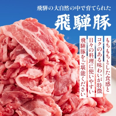 飛騨豚 こま切れ 切り落とし 1kg 小分け 500g×2パック  国産 豚肉 CY050