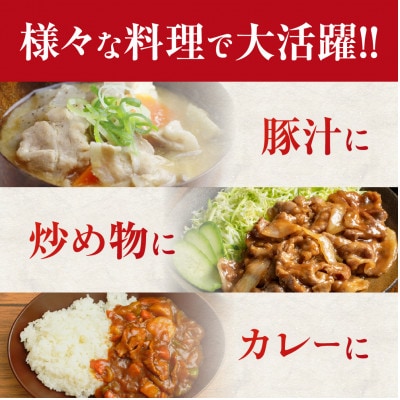 飛騨豚 こま切れ 切り落とし 1kg 小分け 500g×2パック  国産 豚肉 CY050