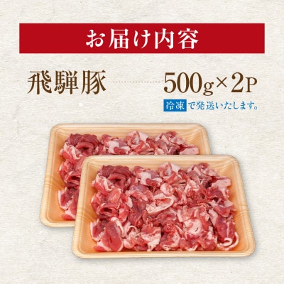 飛騨豚 こま切れ 切り落とし 1kg 小分け 500g×2パック  国産 豚肉 CY050